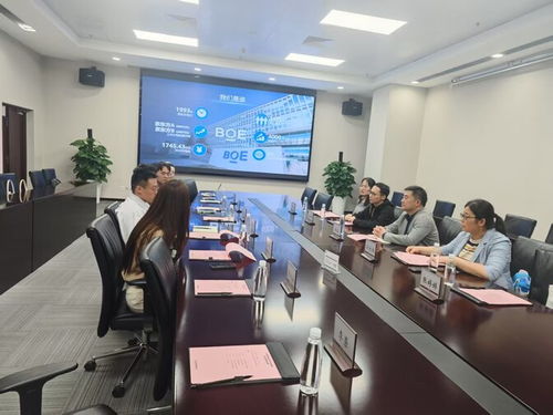 電 亮 京 招 電子與電氣工程學院赴京東方科技集團訪企拓崗