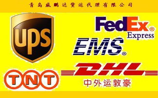 青島國(guó)際快遞代理價(jià)格 青島國(guó)際快遞代理型號(hào)規(guī)格