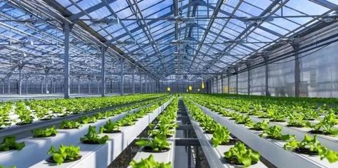 未來已來 探訪5G植物工廠與農(nóng)業(yè)數(shù)字孿生實驗室，揭秘新農(nóng)業(yè)的技術(shù)革命